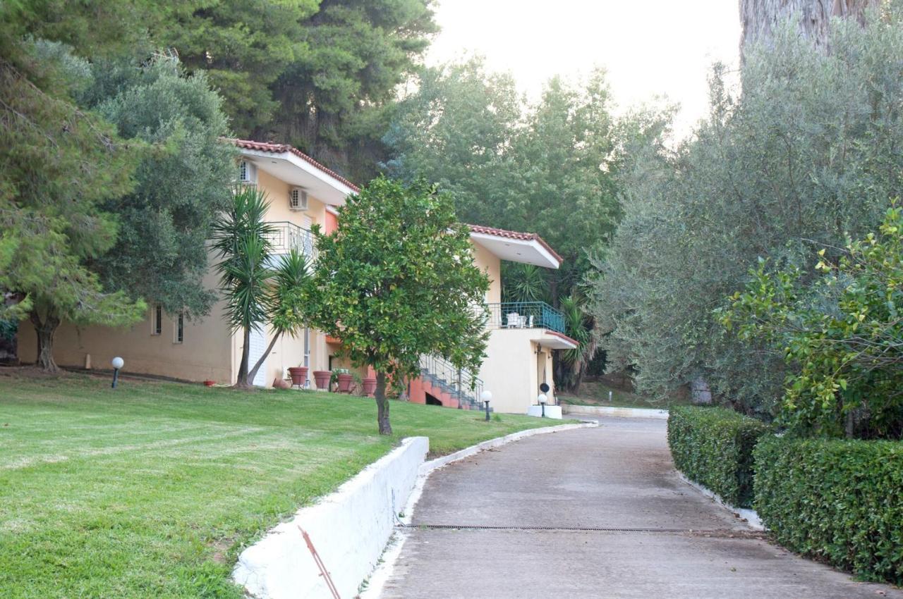 Oasis Olympia Apartments Smila Exterior foto